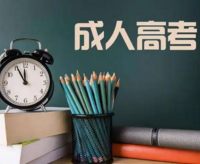 2025年成人高考录取查询通知